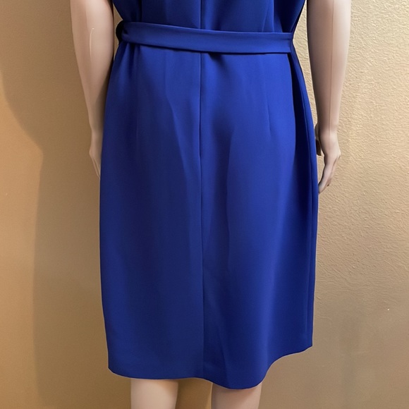 Blue Dress - Picture 9 of 16